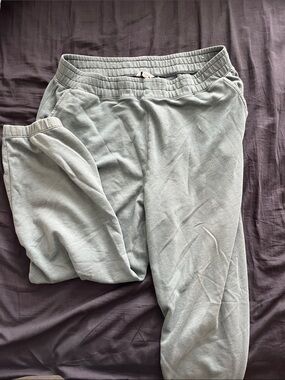 American Eagle Outfitters Green Jogger Pants